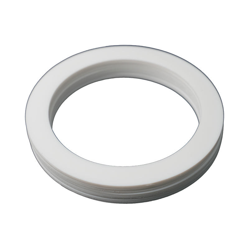 PTFE Gasket