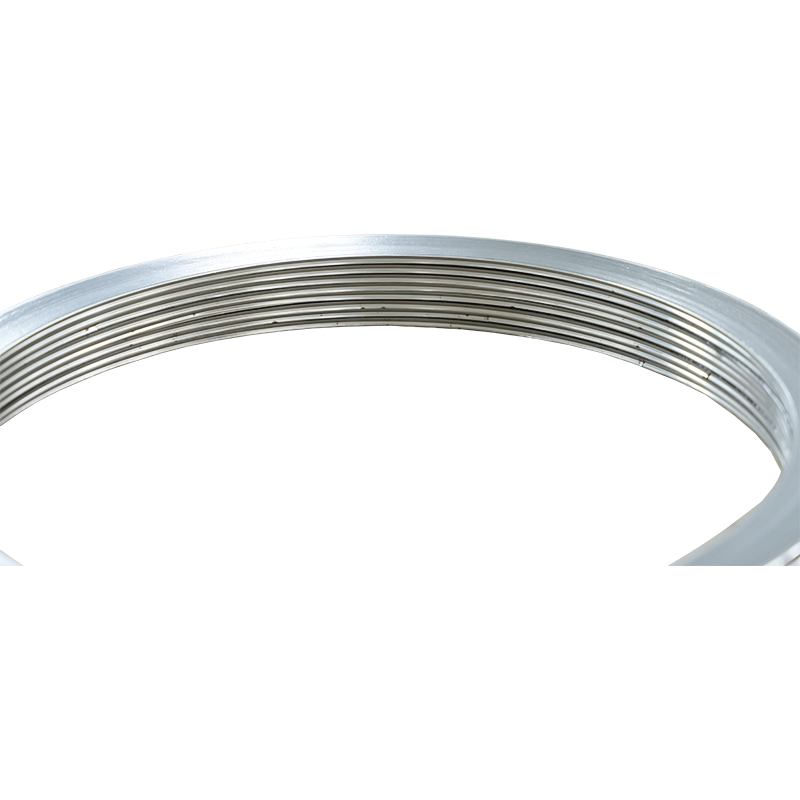 304 Steel Outer Ring, Graphite Spiral Wound Gasket